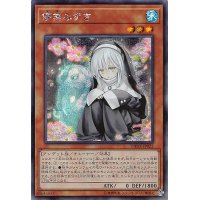 〔状態B〕☆アジア☆儚無みずき【シークレット】{アジアDANE-JP025}《モンスター》