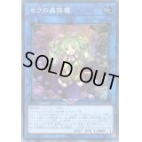 ☆アジア☆セラの蟲惑魔【シークレット】{アジアLVP2-JP061}《リンク》