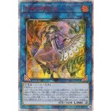 〔状態A-〕☆アジア☆天威の龍仙女【20thシークレット】{アジアRIRA-JP044}《リンク》