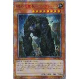〔状態A-〕☆アジア☆礫岩の霊長コングレード【20thシークレット】{アジアCHIM-JP024}《モンスター》