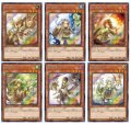 (未開封)地霊使いアウス(六属性カード6種)【-】{DCP1-JP001}《その他》