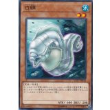 白モーレイ/ホワイトモーレイ【ノーマル】{CP17-JP018}《モンスター》