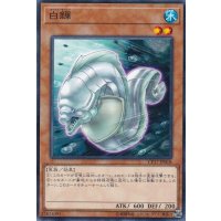白モーレイ/ホワイトモーレイ【ノーマル】{CP17-JP018}《モンスター》