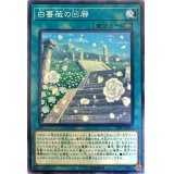 白薔薇の回廊【ノーマル】{20PP-JP011}《魔法》