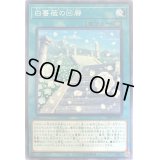 〔状態B〕白薔薇の回廊【ノーマル】{20PP-JP011}《魔法》