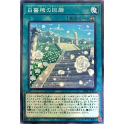 画像1: 白薔薇の回廊【ノーマル】{20PP-JP011}《魔法》