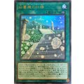 白薔薇の回廊【ウルトラ】{20PP-JP011}《魔法》