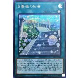 〔状態B〕白薔薇の回廊【シークレット】{20PP-JP011}《魔法》