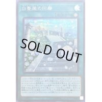 〔状態B〕白薔薇の回廊【シークレット】{20PP-JP011}《魔法》