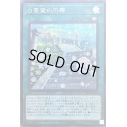 画像1: 〔状態B〕白薔薇の回廊【シークレット】{20PP-JP011}《魔法》