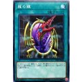 〔状態B〕龍の鏡【スーパー】{19SP-JP609}《魔法》