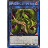 〔状態A-〕☆アジア☆捕食植物ヴェルテアナコンダ【シークレット】{アジアLVP3-JP071}《リンク》