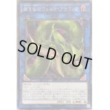☆アジア☆捕食植物ヴェルテアナコンダ【シークレット】{アジアLVP3-JP071}《リンク》