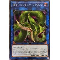 〔状態A-〕☆アジア☆捕食植物ヴェルテアナコンダ【シークレット】{アジアLVP3-JP071}《リンク》