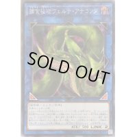 〔状態B〕☆アジア☆捕食植物ヴェルテアナコンダ【シークレット】{アジアLVP3-JP071}《リンク》