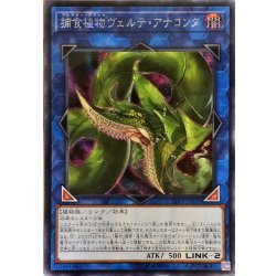 画像1: 〔状態A-〕☆アジア☆捕食植物ヴェルテアナコンダ【シークレット】{アジアLVP3-JP071}《リンク》