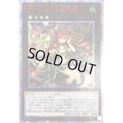 画像1: 〔状態B〕☆アジア☆アロメルスの蟲惑魔【20thシークレット】{アジアETCO-JP045}《エクシーズ》