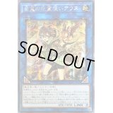☆アジア☆崔嵬の地霊使いアウス【シークレット】{アジアIGAS-JP048}《リンク》