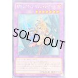 〔状態A-〕☆アジア☆竜騎士ブラックマジシャンガール【シークレット】{アジアCPL1-JA004}《融合》