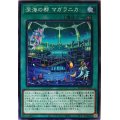 深海の都マガラニカ【ノーマル】{ROTD-JP059}《魔法》