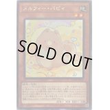 〔状態B〕メルフィーパピィ【レア】{ROTD-JP019}《モンスター》