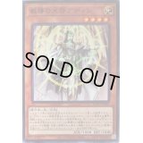 教導の天啓アディン【ノーマル】{ROTD-JP007}《モンスター》