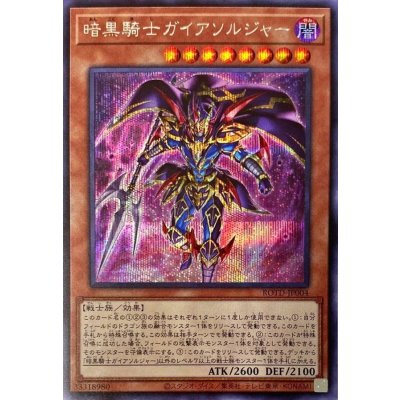 〔状態B〕暗黒騎士ガイアソルジャー【シークレット】{ROTD-JP004}《モンスター》