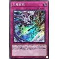 天龍雪獄【スーパー】{ROTD-JP079}《罠》
