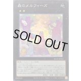 〔状態B〕森のメルフィーズ【スーパー】{ROTD-JP044}《エクシーズ》
