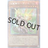 〔状態B〕焔聖騎士オジエ【プリズマティックシークレット】{ROTD-JP013}《モンスター》