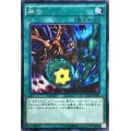 〔状態A-〕融合【シークレット】{15AX-JPM45}《魔法》