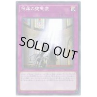 神属の堕天使【ノーマル】{20TP-JP215}《罠》