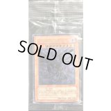 〔状態D〕(未開封)真紅眼の闇竜【レリーフ】{W6S-JP001}《モンスター》