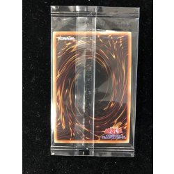 画像2: 〔状態B〕(未開封)団結の力【シークレット】{SBPR-JP001}《魔法》