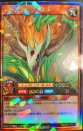 〔状態B〕天帝龍樹ユグドラゴ【ラッシュレア】{RD/MAX1-JP011}《RDモンスター》