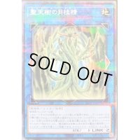 聖天樹の月桂精【ノーマルパラレル】{21PP-JP018}《リンク》