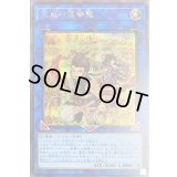 〔状態B〕天威の龍拳聖【シークレット】{21PP-JP024}《リンク》