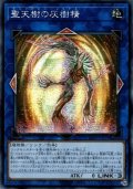 〔状態B〕☆アジア☆聖天樹の灰樹精【シークレット】{アジア21PP-JP019}《リンク》