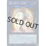 ☆アジア☆聖天樹の灰樹精【シークレット】{アジア21PP-JP019}《リンク》