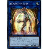 〔状態B〕☆アジア☆聖天樹の灰樹精【シークレット】{アジア21PP-JP019}《リンク》