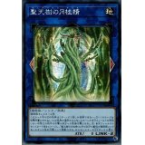 〔状態A-〕☆アジア☆聖天樹の月桂精【シークレット】{アジア21PP-JP018}《リンク》