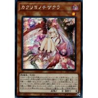 〔状態A-〕☆アジア☆カクリヨノチザクラ【シークレット】{アジア21PP-JP021}《モンスター》
