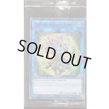 (未開封)黒衣之詔刀師/NoritoshiinDarkestRainment【ウルトラ】{2019-EN004}《リンク》