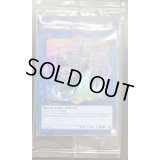 (未開封)黒き森の航天閣SkyfaringCastleoftheBlackForest【ウルトラ】{2020-EN003}《リンク》