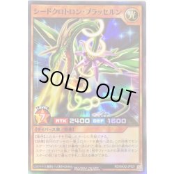 画像1: 〔状態B〕シードクロトロンブラッセルン【スーパー】{RD/MAX2-JP021}《RDモンスター》