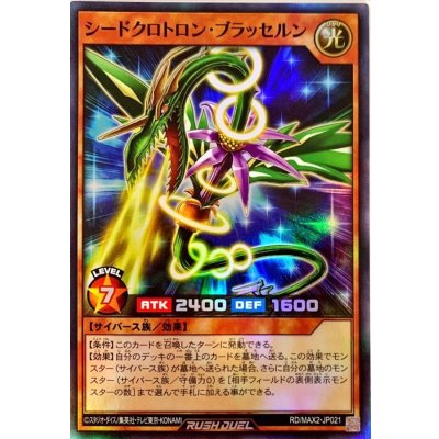 〔状態A-〕シードクロトロンブラッセルン【スーパー】{RD/MAX2-JP021}《RDモンスター》