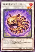 焔紫竜ピュラリス【ノーマル】{21TP-JP309}《シンクロ》