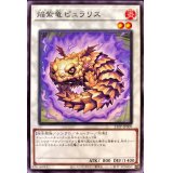 焔紫竜ピュラリス【ノーマル】{21TP-JP309}《シンクロ》