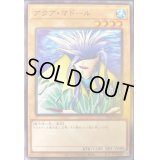 アクアマドール【ノーマル】{21TP-JP203}《モンスター》