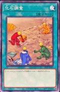 化石調査【ノーマル】{21TP-JP411}《魔法》